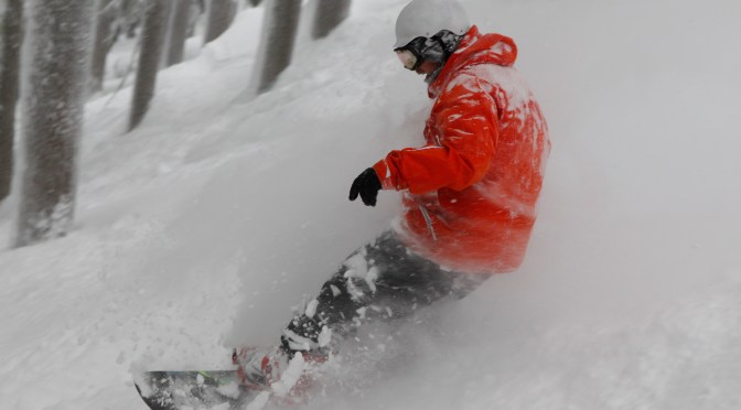 It’s been 10 weeks!