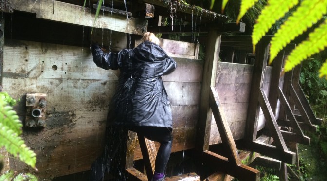 Westland | Shades of Green