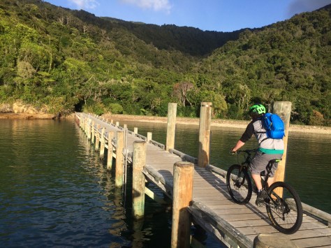 It begins at Ship Cove | Queen Charlotte Track
